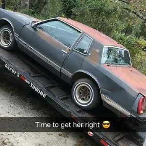 Meet your Posher, Ant.42